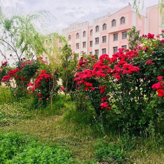 Telegram profile photo for خانوادۀ حقوق و علوم سیاسی پوهنتون هرات