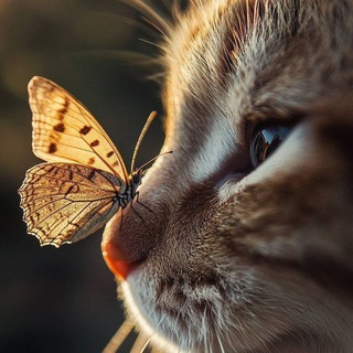 Telegram profile photo for 𝑓𝑖𝑙𝑙𝑒 𝑑𝑒 𝑙𝑎 𝑙𝑢𝑛𝑒'