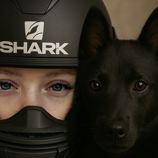 Telegram profile photo for Стайка