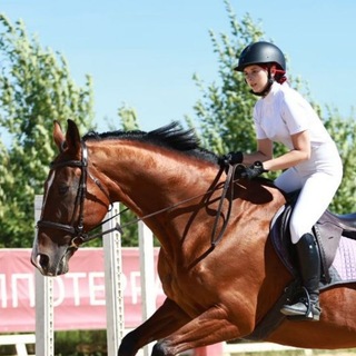 Telegram profile photo for Сахалин - остров мечты🐴