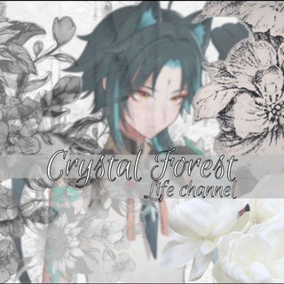 Telegram profile photo for 𝕃𝕚𝕗𝕖《ℂ𝕣𝕪𝕤𝕥𝕒𝕝 𝔽𝕠𝕣𝕖𝕤𝕥》