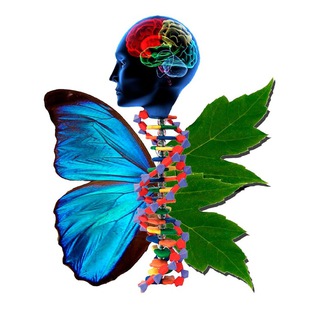 Telegram profile photo for Академия биологии и медицины ЮФУ