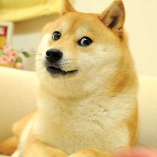Telegram profile photo for МЕМЫ | МЕМЫ БЕЗ НАДПИСЕЙ