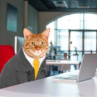 Telegram profile photo for сырный сырок
