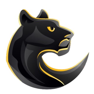 Telegram profile photo for Black Panther Social Trade