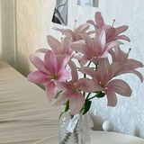 Telegram profile photo for Paα§β΅π
πtπ«π²Ι & π½aget πββ¬οΈ