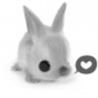 Telegram profile photo for 𝐢̶ָ𝐧⃪ֵֶׂۭ֘֯ۚ𝐟꯭𖹭⃪ְۣׅؔ᤺ᝳ 𝐫𝅦̥︩︪𝆋᷍ᰰ⃪1ӄִׄ04ӄִׄ1 РЕСТ (в чистках не учавствую)