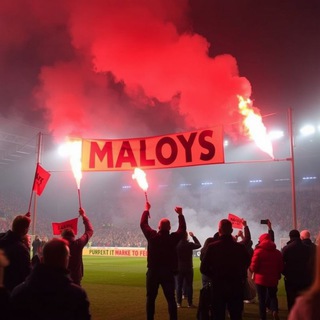 Telegram profile photo for MALOYS casino MostBet 1xbet 888starz apk