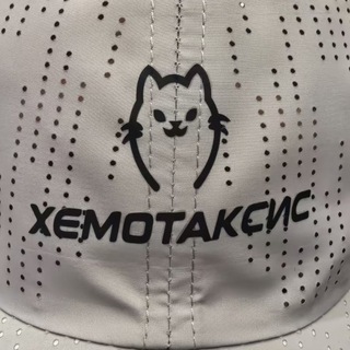 Telegram profile photo for Хемотаксис Run