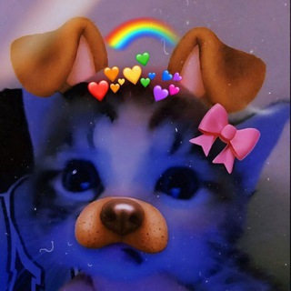Telegram profile photo for Pittow's Fan Page