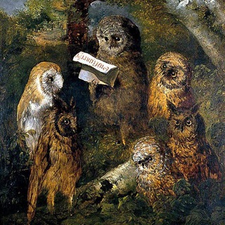 Telegram profile photo for A Wisdom of Owls