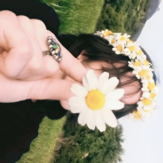 Telegram profile photo for بەیبوون