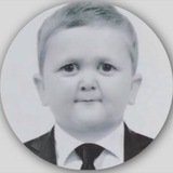 Telegram profile photo for Sadovstars shop