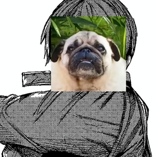 Telegram profile photo for Dtm