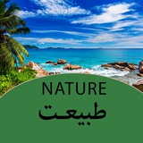 Telegram profile photo for طرحهای طبیعت