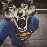 Telegram profile photo for standoff area