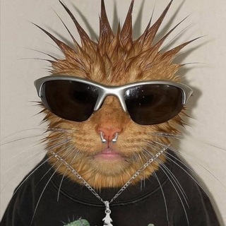 Telegram profile photo for Eikocut