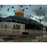 Telegram profile photo for عبدالزینب(سلام الله علیها)