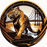 Telegram profile photo for Владивосток Новости