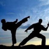 Telegram profile photo for کانال مرجع هنرهای رزمی شرقی