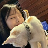 Telegram profile photo for игры/инфо/правила♡
