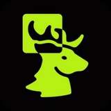 Telegram profile photo for METASHOOTER