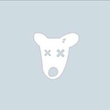 Telegram profile photo for ceo: syki
