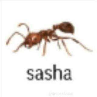 Telegram profile photo for Kisaha |18+|