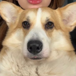 Telegram group profile photo for matveenkoo Chat