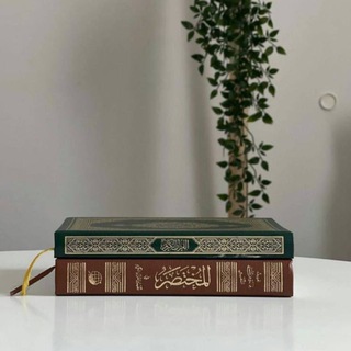 Telegram profile photo for خطط الحفظ والمراجعة