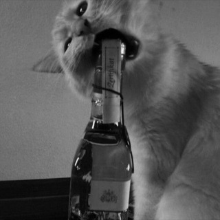 Telegram group profile photo for «âme de mon âme» Chat