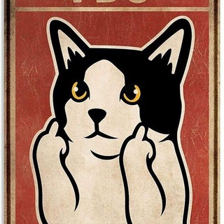 Telegram profile photo for گربه بیاعصاب🐈⬛️