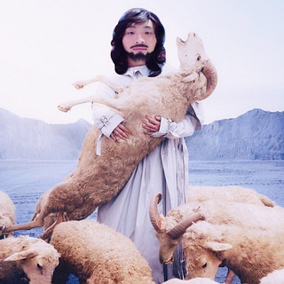 Telegram profile photo for DeeGor 群益羊群福利會