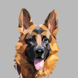 Telegram profile photo for РСЛНО НКП Немецкая овчарка