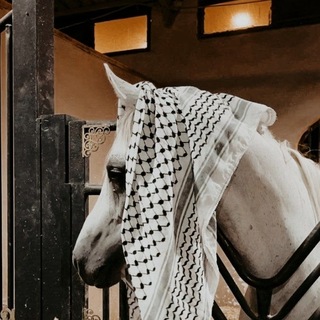 Telegram profile photo for يَافَا الضَّاد.