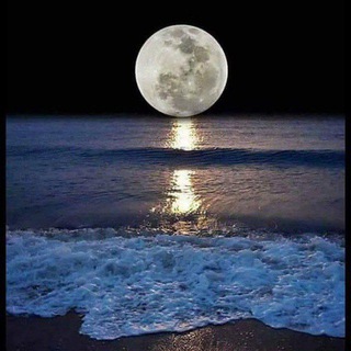 Telegram profile photo for شبهای هیرکان