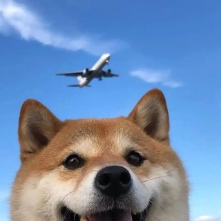 Telegram profile photo for 肥仔