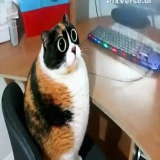 Telegram group profile photo for привет