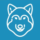 Telegram profile photo for Волк Тамбовский