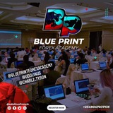Telegram profile photo for BLUEPRINT FOREX HUB