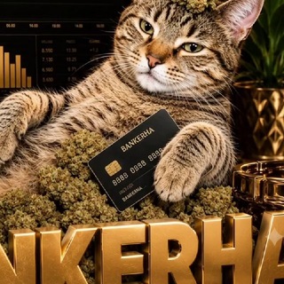 Telegram profile photo for BANKERHA BERET KARTY