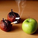 Telegram profile photo for گوشه ي عافيت(فردا دير است)