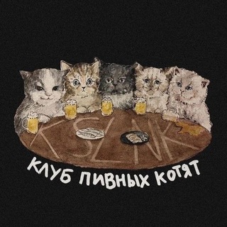 Telegram profile photo for budloizpodvorotni 2.0