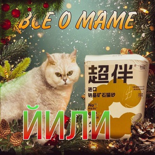 Telegram profile photo for Все о маме Йили