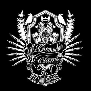 Telegram profile photo for Chemodan