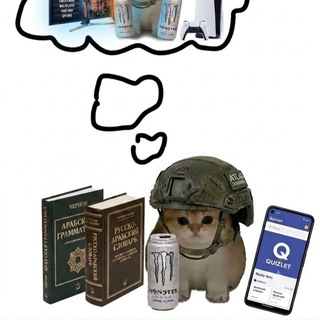 Telegram profile photo for Записки лейтенанта Вальхаллы