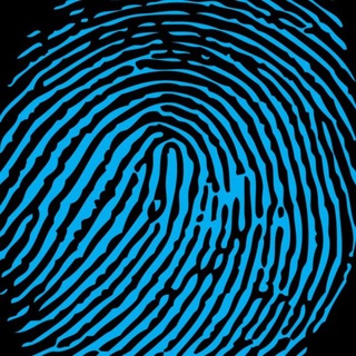 Telegram profile photo for lilqr