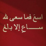 Telegram profile photo for نمبر ون (PYP)