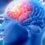 Telegram profile photo for PARKINSON