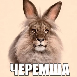 Telegram profile photo for not_me_dota